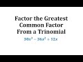 Factoring and Prime Factorization Concepts