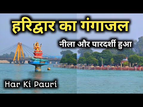 हरिद्वार का गंगा जल नीला और पारदर्शी हुआ || Haridwar Latest Video || Haridwar Kartik Purnima Snan