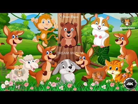 Lovely Animal Moments: Kangaroo, Monkey, Rabbit, Sheep, Hamster - Animal Sounds