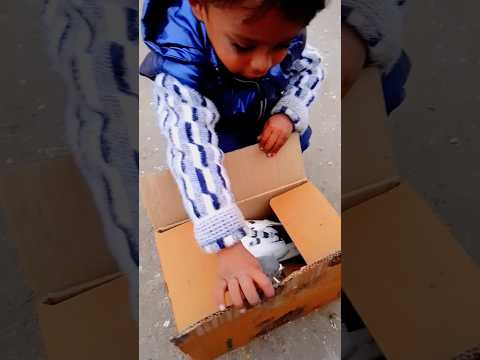 chanddu Aaj dabbe mein do✌️ kabutar laya 🕊️🥰#viral#video#youtubeshorts