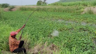Amazing Rohu Fish 🎣Curry Village Style Catching in Local River Fishing 
