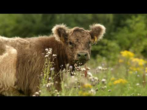 FeelGood - Sustainable travel in Germany