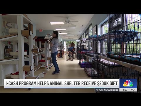 Animal shelter gets $200K thanks to Illinois' unclaimed property program