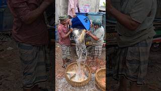 #shorts #viral #fishmarket #fishing