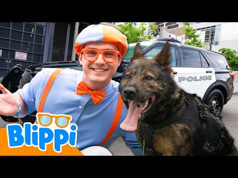 What Do Police Dogs Do? 🐕🦺🚓