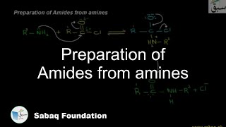 Preparation of Amides from amines