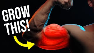 Get BIGGER Arms FAST (ADVANCED TECHNIQUE!)