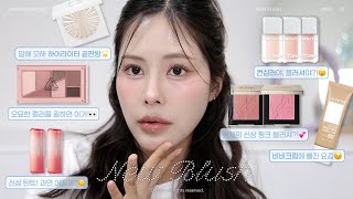 궁금했던 신상 모아보기👀✨ / 돌아온 비비 유행 ,  컨실러 블러셔(?) , 투슬포 신상 블러셔