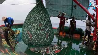 UNBELIEVABLE NET FISHING HAUL! See What We Caught 🎣👍 @KadalTv