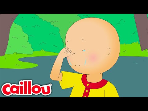 Le nouveau camarade de classe de Caillou | Caillou Français |    | Apprentissage pour les enfants