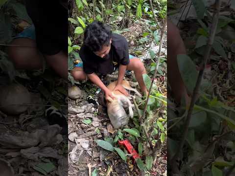 Mother Dog Trapped in a Can, Her Puppies Were Waiting #dogrescue #savinglife #straydog #shorts