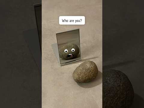 Rock vs Mirror