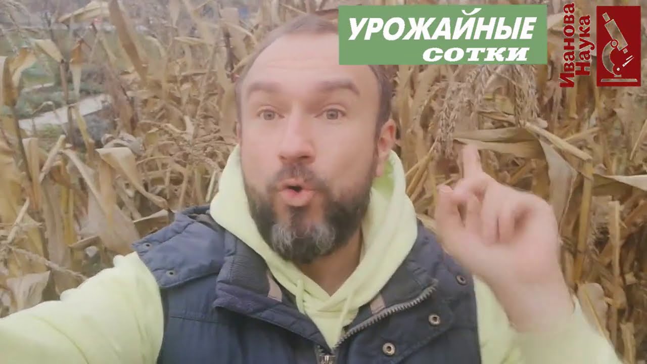 Не убирайте это с огорода! Очень пригодится!