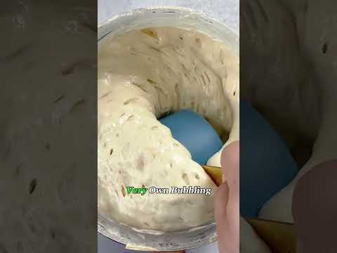 Why Are People Keeping This Wiggly Blob as a Pet?#sourdoughstarter #pet #food #bread