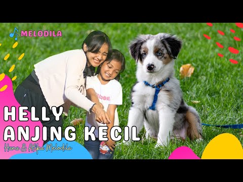 🔴 LAGU AKU PUNYA ANJING KECIL - HELLY GUK GUK GUK | Lagu Anak Indonesia | Lagu Afika & Hana Melodila