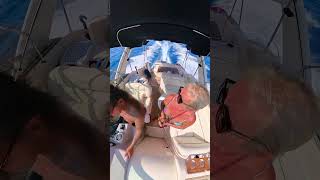 Bootsüberstellung Rinker 270 Fiesta  vom Tagliamento bei Lignano nach Krk
