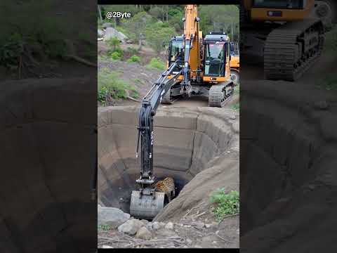 Leopard Rescued from Deep Pit with Excavator