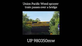 Over a bridge! #train #railfanning #railfan #unionpacific #locomotive #shorts