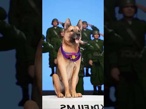 La guerra del perro héroe💭