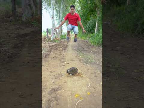 OutdoorFood Skills SIMPLE and USEFUL NEW FUN IDEA UNLOCKED In Forest #survival #forest #outdoor