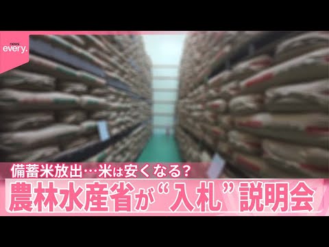 【備蓄米放出】米は安くなる？  専門家「ムラがある形で下がると予想」販売店「期待は持っている」