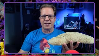 Let's catch up while I was away...