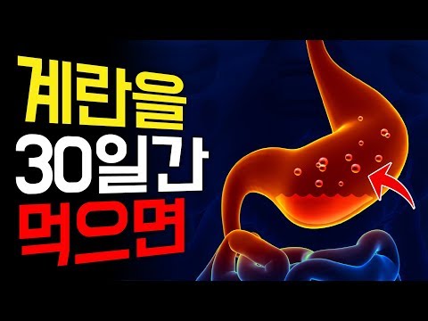 계란 유해성 논란? 30일간 매일 계란을 먹으면 '몸'이 이렇게 됩니다