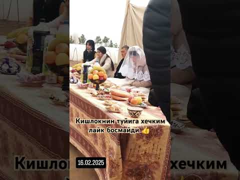 ТУЙИДА КЕЛИН КИЁВИН ЕНИДА ПАЙТИ НИМАНИ #rek #music #той #самыекрасивыесвадьбы #свадьба