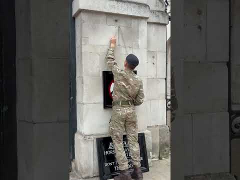 Done for today good job Soldier #royalhorseguard #horse #travel #tourist #highlights