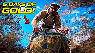 This Creek is Full of GOLD! | 5 Days of Gold Mining