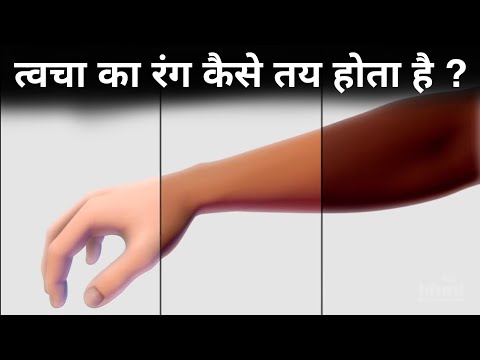 त्वचा गोरी या काली कैसे हो जाती है? skin colour science