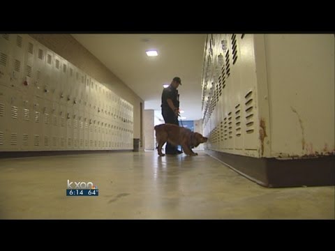 Do drug-sniffing dogs pass the smell test?