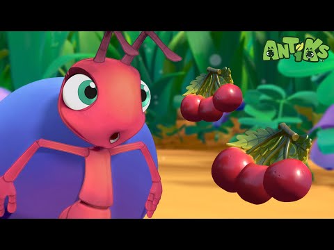 Encontrando todas as frutas! 🍒🍓 | O MELHOR DE ANTIKS BRASIL | Desenhos Animados para Crianças