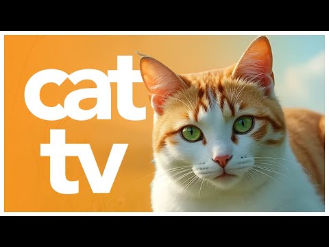 CAT TV - 4 Hour Outdoor Nature Watching Experience Video for Cats 🐈