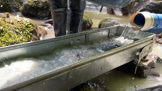 Achando OURO natural no rio / Garimpo de ouro