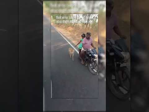 किसी का घर उजाड़ना ठीक नही हम तो घरों मे रह लेंगे लेकिन बेजुबान जानवर कहा रहेंगे 🥺💔 #help #sad #love
