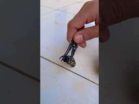 Laba laba lucu part 2 #diy #kreatif #viral #art #craft