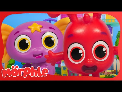 Animi Returns! 😱 | Fun Animal Cartoons | @MorphleTV  | Learning for Kids