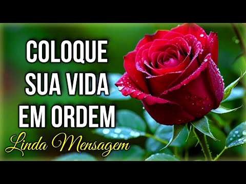 Coloque Sua Vida em Ordem - Mensagem de Bom Dia e Reflexão