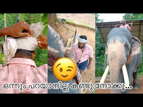 ഒന്നും പറയാനില്ല കണ്ടു നോക്കൂ...|puthuppally keshavan |manoj puthuppally