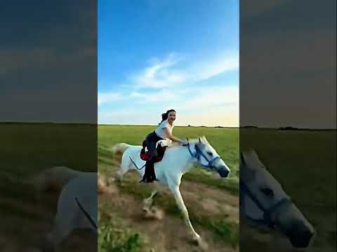НАСТРОЕНИЕ #природа #природныепейзажи #лето #music #nature #равнины #экзопланеты #mountains