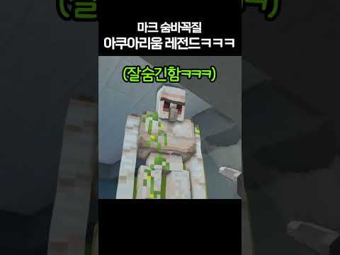 마크 숨바꼭질 아쿠아리움 레전드 시청자모음ㅋㅋㅋ