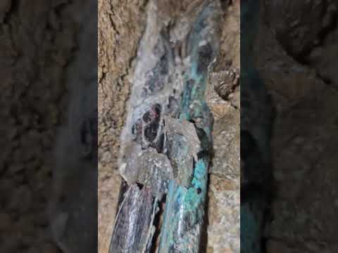 This leak has caused a lot of stress!! #plumbing #originalleakdetective #shorts