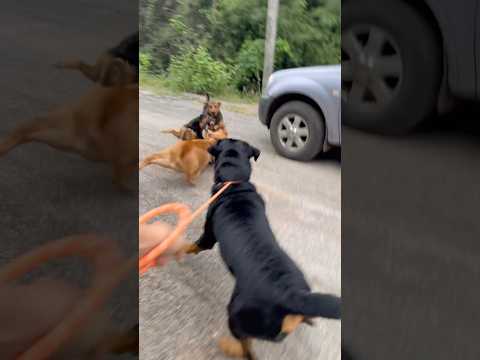 Her intentions are pure, but it’s not safe for us anymore