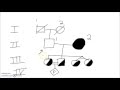 Constructing a Pedigree: Key Symbols and Techniques
