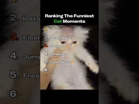 DONT CHECK THE SOUND 😭😭