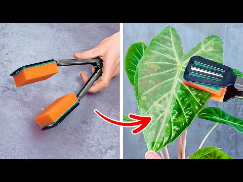 OMG! 🤩 Truques incríveis de cultivo de plantas para transformar sua casa em um oásis verde 🌱