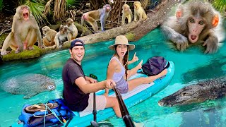 WE FOUND WILD MONKEYS in FLORIDA ! MONKEYS, MANATEES, ALLIGATORS !!