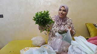 اليوم شركت معاكم تقدية ديال سوق الأسبوعي 
