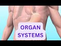Human Body Systems and Functions